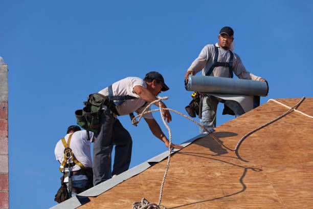 Best Gutter Installation and Roofing  in Etowah, NC