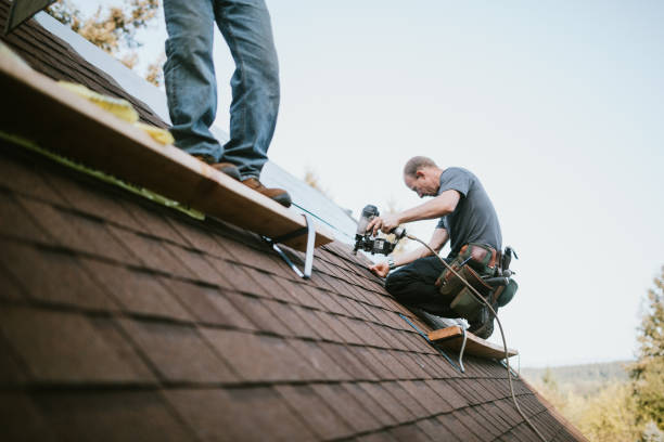 Best Roof Gutter Cleaning  in Etowah, NC